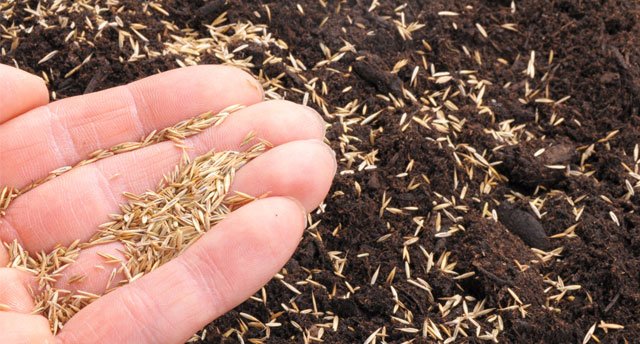 resultaatgericht team