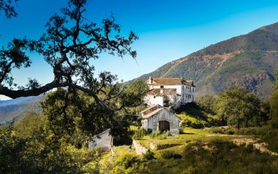 Teamup in Andalusië bij Villas & Fincas